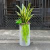 cây-lưỡi-hổ-giả-phối-chậu-xi-măng-đá-mài-cao-1m-chụp-chính-diện