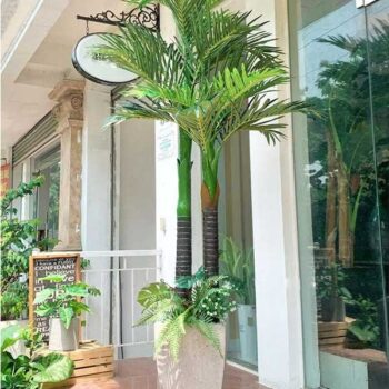 [Combo-mix] Cây Dừa Giả Trang Trí Cửa Hàng, Studio, Tiệm Quán, Văn Phòng, Nhà Cửa – Cao 2m2– Mã: PN-CG133
