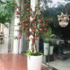 Cây Lựu Giả 1m5 -Trang Trí Nội Ngoại Thất-Phạm Nguyễn Decor
