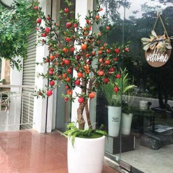 [Combo-mix]Cây Lựu Giả Trang Trí Cửa Hàng, Studio, Tiệm Quán, Văn Phòng, Nhà Cửa – 1m5 – PN-CG159