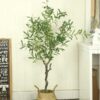 Cây Ô liu Giả 1m3 -Trang Trí Nội Ngoại Thất-Phạm Nguyễn Decor