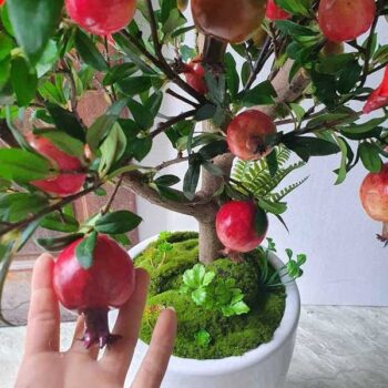 [Combo-mix]Cây Lựu Giả Trang Trí Cửa Hàng, Studio, Tiệm Quán, Văn Phòng, Nhà Cửa – 1m5 – PN-CG164