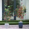 Cây Lựu Giả 1m7 -Trang Trí Nội Ngoại Thất-Phạm Nguyễn Decor