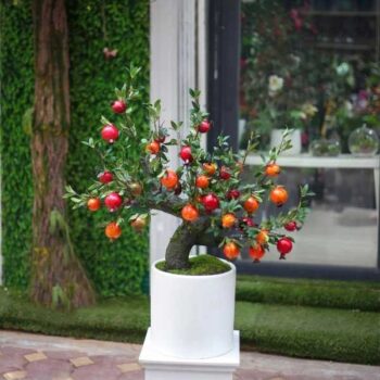 [Combo-mix]Cây Lựu Giả Trang Trí Cửa Hàng, Studio, Tiệm Quán, Văn Phòng, Nhà Cửa – 90cm – PN-CG163