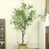 Cây Ô Liu Giả 1m65 -Trang Trí Nội Ngoại Thất-Phạm Nguyễn Decor