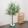 Cây Ô Liu Giả 1m65 -Trang Trí Nội Ngoại Thất-Phạm Nguyễn Decor