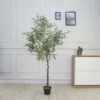 Cây Ô Liu Giả 1m65 -Trang Trí Nội Ngoại Thất-Phạm Nguyễn Decor
