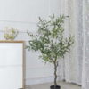 Cây Ô Liu Giả 1m65 -Trang Trí Nội Ngoại Thất-Phạm Nguyễn Decor