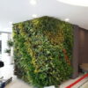 Tường Cây Giả -Trang Trí Nội Ngoại Thất-Phạm Nguyễn Decor