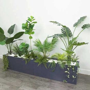 Bồn Cây Tiểu Cảnh Mix Trang Trí Cửa Hàng, Studio, Tiệm Quán, Văn Phòng, Nhà Cửa – Cao 1M2 – Mã CG207