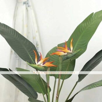 Bồn Cây Hoa Chuối Trang Trí Cửa Hàng, Studio, Tiệm Quán, Văn Phòng, Nhà Cửa – Cao 1M2 – Mã CG206