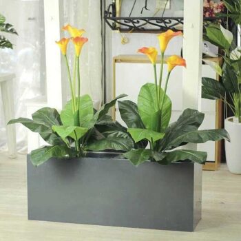 Bồn Cây Hoa Rum Trang Trí Cửa Hàng, Studio, Tiệm Quán, Văn Phòng, Nhà Cửa – Cao 1M2 – Mã CG205