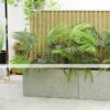 Bồn cọ tiểu cảnh