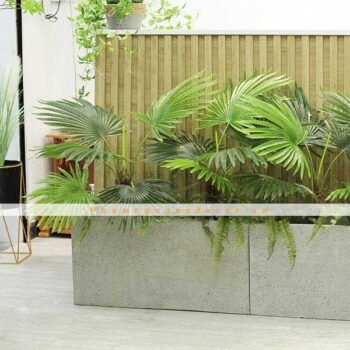 Bồn Cây Cọ Tiểu Cảnh Trang Trí Cửa Hàng, Studio, Tiệm Quán, Văn Phòng, Nhà Cửa – Cao 90cm – Mã CG201