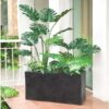 Bồn Cây Lá Xẻ Monstera Cao 1m4 (2)