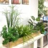 Bồn Cây Tiểu Cảnh Dài 1m2 (2)
