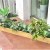 Bồn Cây Tiểu Cảnh Giả dài 1m2 (2)