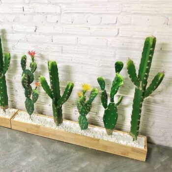 Bồn Tiểu Cảnh Cây Xương Rồng Giả Trang Trí Cửa Hàng, Studio, Tiệm Quán, Văn Phòng, Nhà Cửa – Dài 1m2 – Mã: PN-CG0171