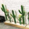 Bồn Cây Xương Rồng Tiểu Cảnh Giả 1m2 (3)