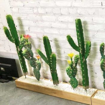 Bồn Tiểu Cảnh Cây Xương Rồng Giả Trang Trí Cửa Hàng, Studio, Tiệm Quán, Văn Phòng, Nhà Cửa – Dài 1m2 – Mã: PN-CG0171