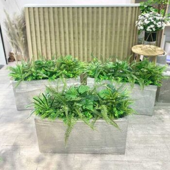 Bồn Cây Tiểu Cảnh Giả Trang Trí Cửa Hàng, Studio, Tiệm Quán, Văn Phòng, Nhà Cửa – Dài 80cm – Mã: PN-CG0173