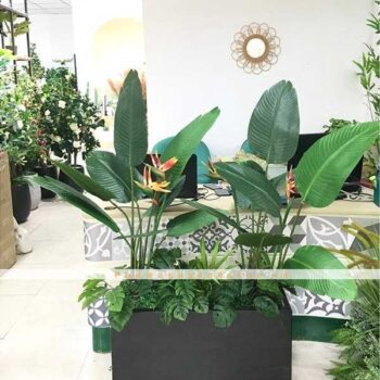 Bồn Cây Chuối Thiên Điểu Giả Trang Trí Cửa Hàng, Studio, Tiệm Quán, Văn Phòng, Nhà Cửa – Dài 1m4 – Mã: PN-CG0188