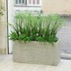 Bồn Cỏ Sậy Cao 1m (1)