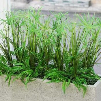 Bồn Cỏ Sậy Giả Trang Trí Cửa Hàng, Studio, Tiệm Quán, Văn Phòng, Nhà Cửa – Cao 1m – Mã: PN-CG0215