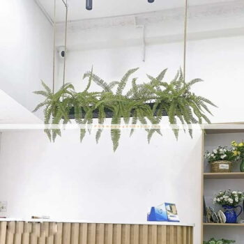 Bồn Cây Dương Xỉ Giả Cổ Đại TreoTrang Trí Cửa Hàng, Studio, Tiệm Quán, Văn Phòng, Nhà Cửa -Dài 1m2- Mã CG211
