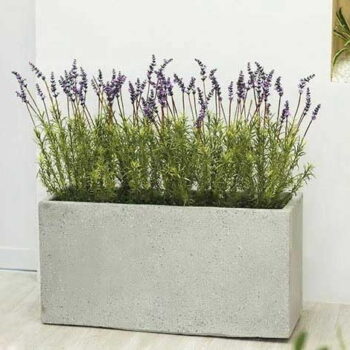 Bồn Hoa Lavender Giả Trang Trí Cửa Hàng, Studio, Tiệm Quán, Văn Phòng, Nhà Cửa – Cao 75cm – Mã: PN-CG0213