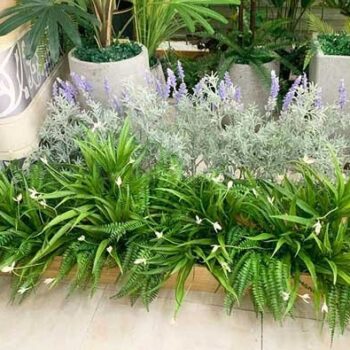 Bồn Cây Tiểu Cảnh Lan Trắng Giả Trang Trí Cửa Hàng, Studio, Tiệm Quán, Văn Phòng, Nhà Cửa – Dài 1m3 – Mã: PN-CG0176
