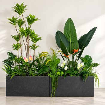 Bồn Cây Chuối Thiên Điểu Giả Trang Trí Cửa Hàng, Studio, Tiệm Quán, Văn Phòng, Nhà Cửa – 2mx2m – Mã: PN-CG0181