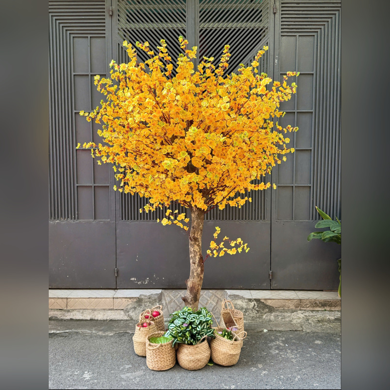 Cây Mai Giả Trang Trí Tết Cửa Hàng, Studio, Tiệm Quán, Văn Phòng, Nhà Cửa – Cao 1m6 – Mã: PN-CG0234