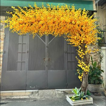 Cây mai bon sai giả cao 80cm uyển chuyển, ấn tượng trang trí cửa hàng, studio, tiệm quán, văn phòng, nhà cửa