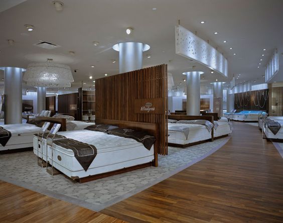 trang trí showroom
