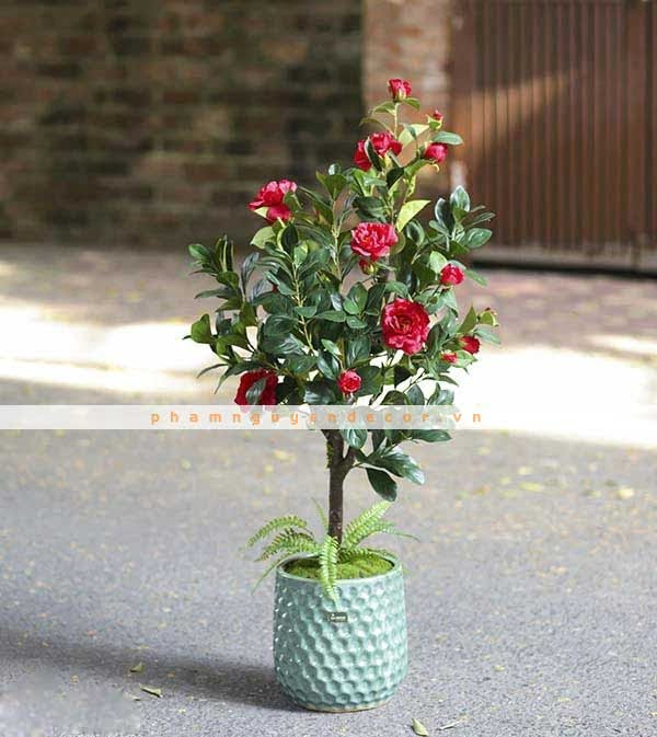 Cây giả trang trí phòng khách