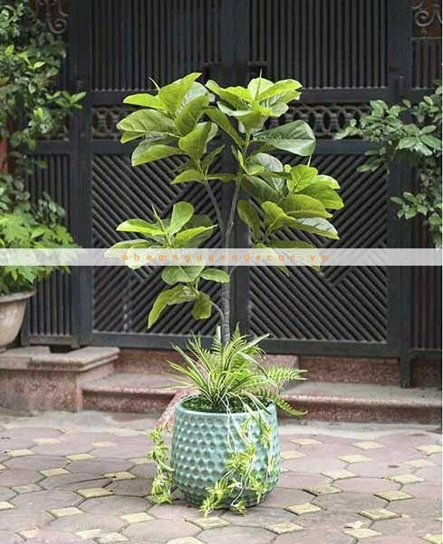 Cây giả trang trí phòng khách