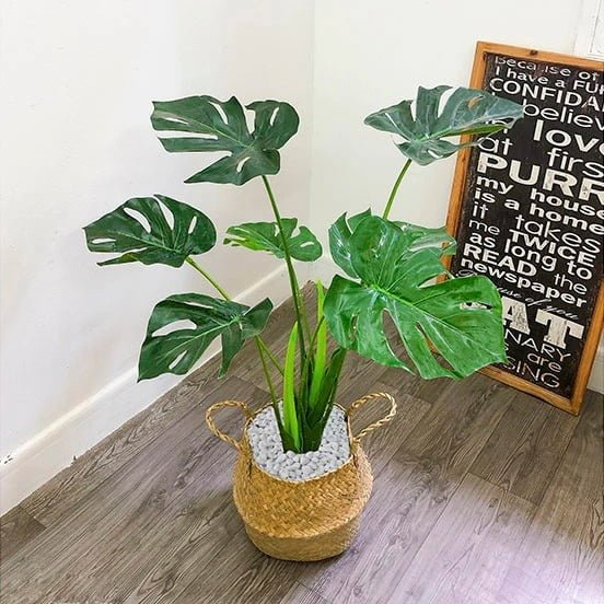 Cây giả trang trí phòng khách