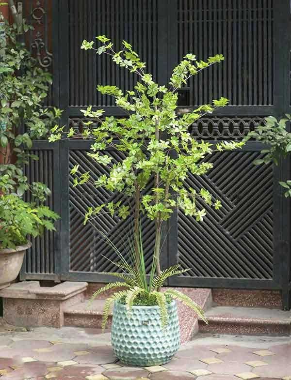 Cây giả trang trí phòng khách