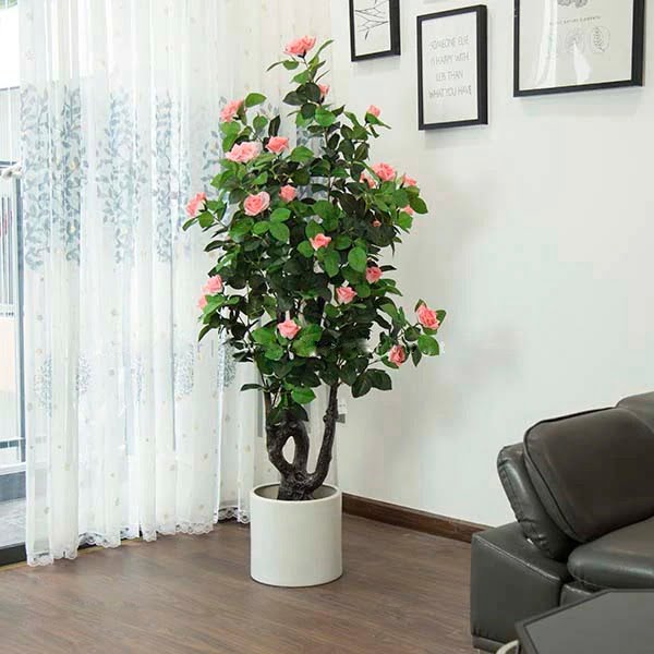 Cây nhựa trang trí