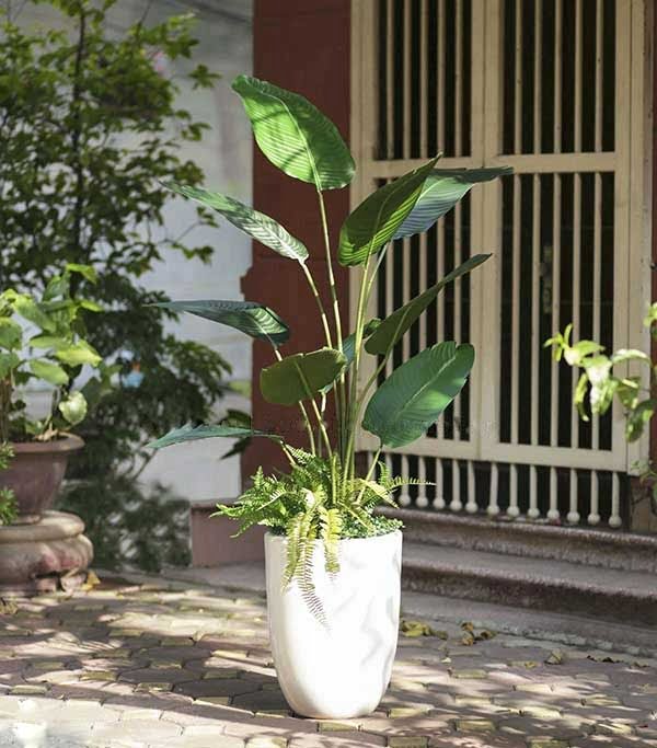 Cây nhựa trang trí