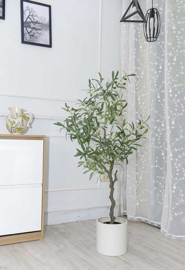 Cây nhựa trang trí