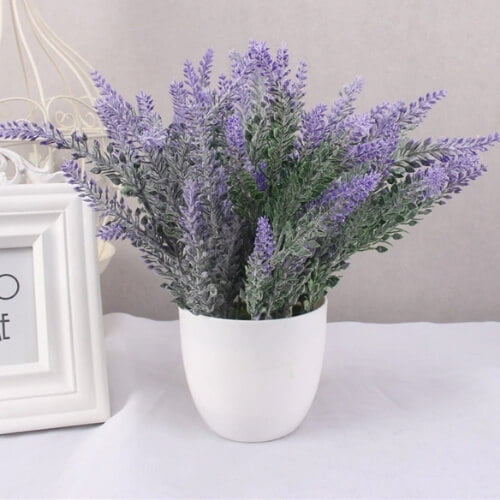 Cây nhựa trang trí