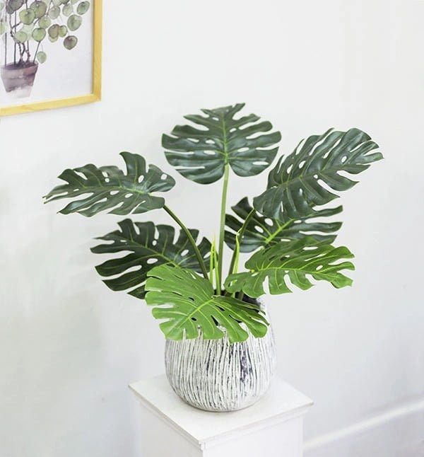 Cây nhựa trang trí