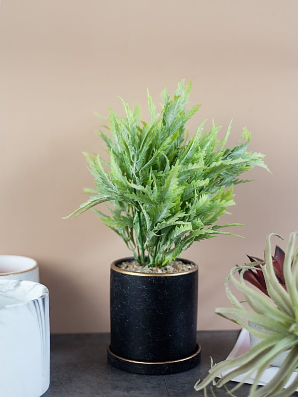 Top 10 Loại Cây Giả Để Bàn Được Ưa Chuộng Nhất Hiện Nay