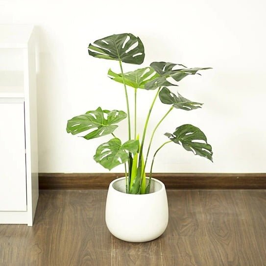 Top 10 Loại Cây Giả Để Bàn Được Ưa Chuộng Nhất Hiện Nay