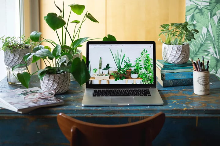 chậu cây giả mini để bàn