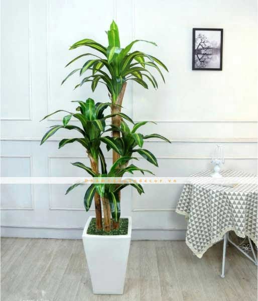 Tổng Hợp Mẫu Cây Giả Trang Trí Nội Thất Đẹp Như Thật