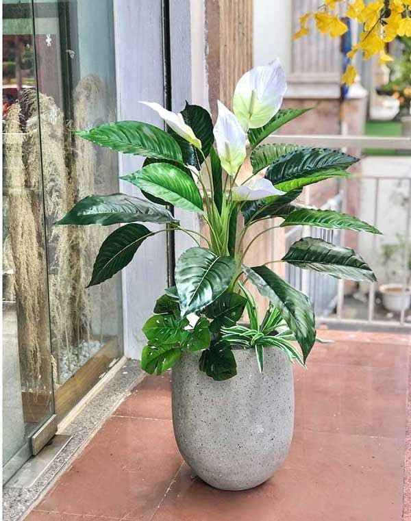 Tổng Hợp 20+ Mẫu Cây Hoa Giả Trang Trí Trong Nhà Đẹp Mê Ly TPHCM