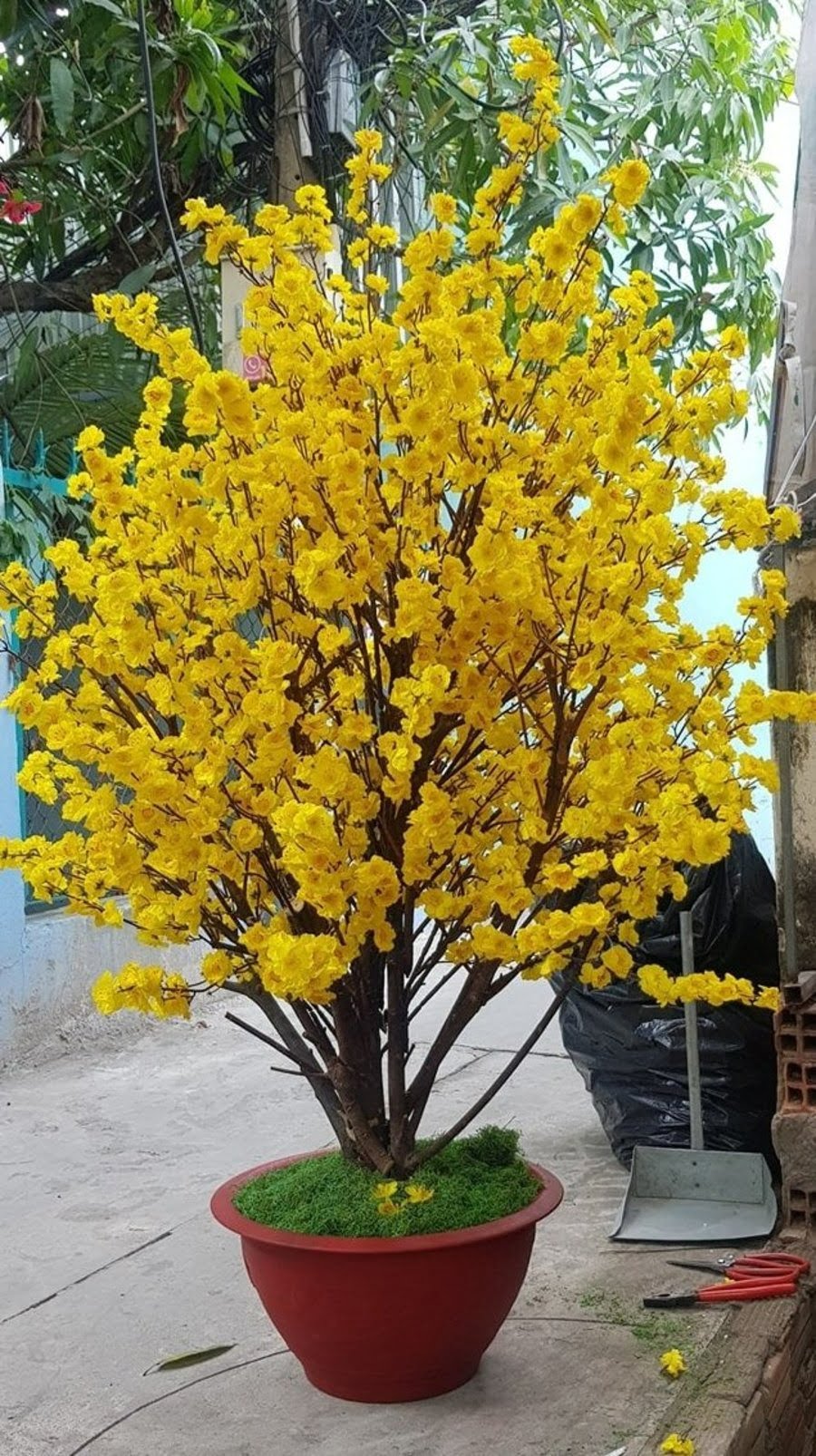 Bí Quyết Chọn Cây Mai Giả Trang Trí Tết Phù Hợp Với Không Gian